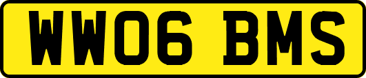 WW06BMS