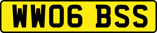 WW06BSS