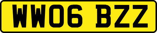 WW06BZZ