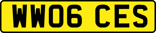 WW06CES