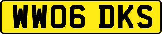 WW06DKS