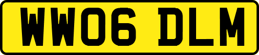 WW06DLM
