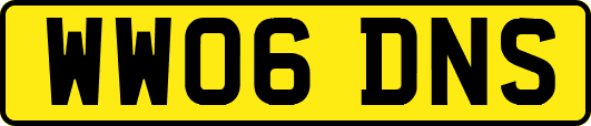WW06DNS