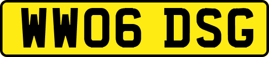 WW06DSG
