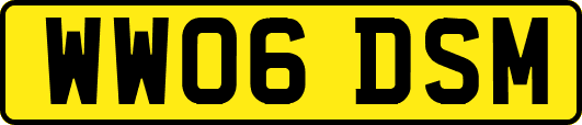 WW06DSM