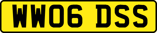 WW06DSS