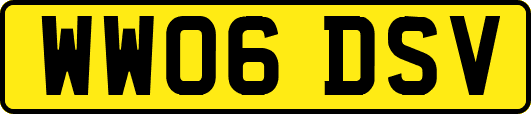 WW06DSV