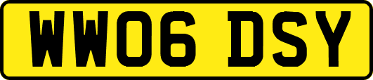 WW06DSY
