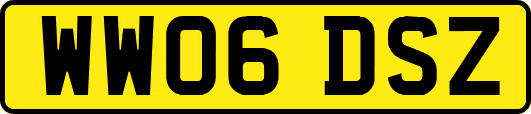 WW06DSZ