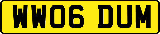 WW06DUM