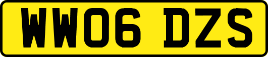WW06DZS