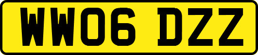 WW06DZZ