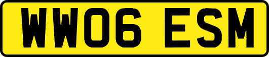 WW06ESM