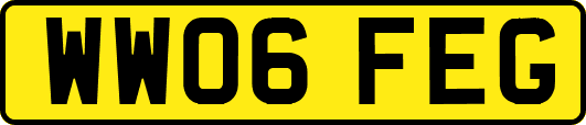 WW06FEG