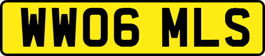 WW06MLS