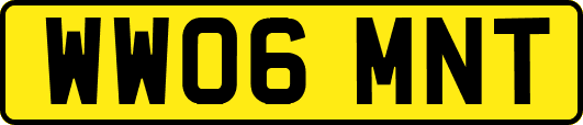 WW06MNT