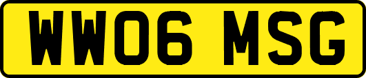 WW06MSG