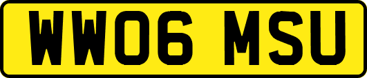 WW06MSU