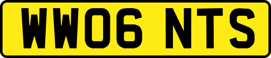 WW06NTS