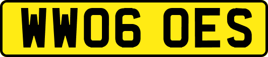WW06OES