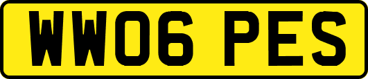 WW06PES