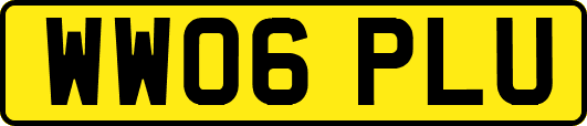WW06PLU