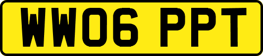 WW06PPT