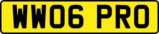 WW06PRO