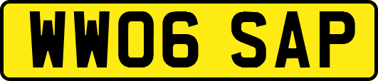 WW06SAP