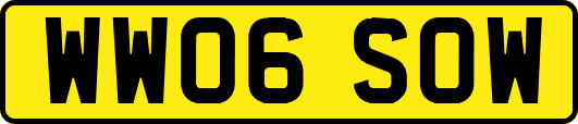 WW06SOW