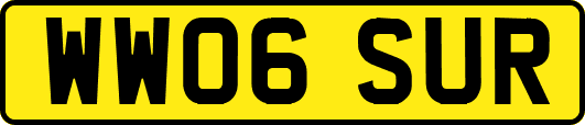 WW06SUR