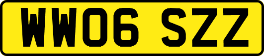 WW06SZZ