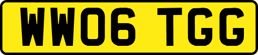 WW06TGG