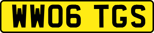 WW06TGS