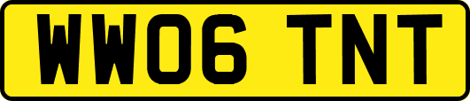 WW06TNT