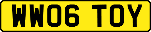WW06TOY