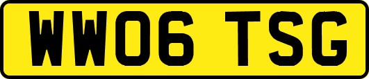 WW06TSG