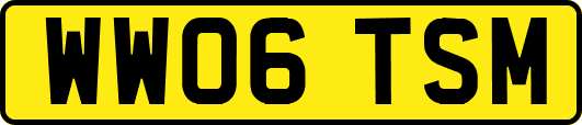 WW06TSM