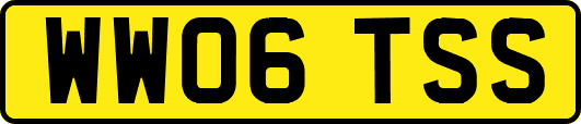 WW06TSS