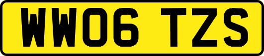 WW06TZS