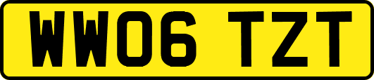 WW06TZT