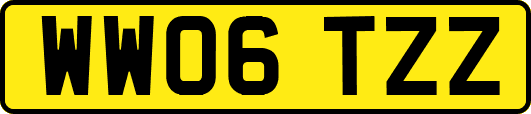 WW06TZZ