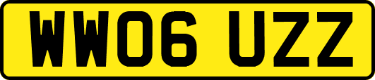 WW06UZZ