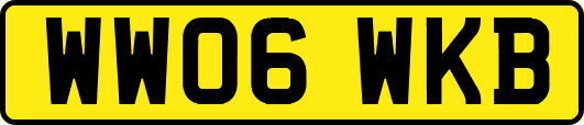 WW06WKB
