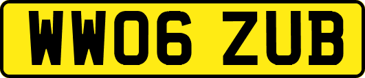 WW06ZUB