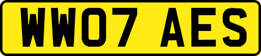 WW07AES