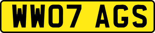 WW07AGS
