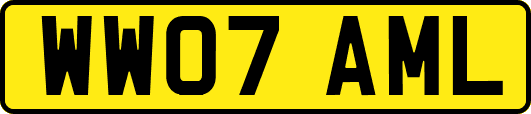 WW07AML
