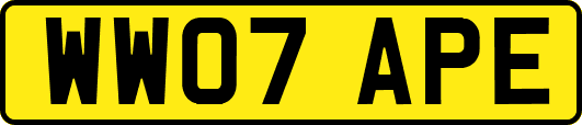 WW07APE