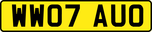 WW07AUO